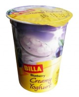 creamy yogurt blueberry Bill